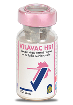 ATLAVAC HB1