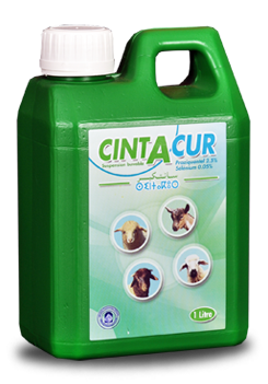 CINTACUR 