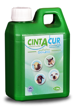 CINTACUR 