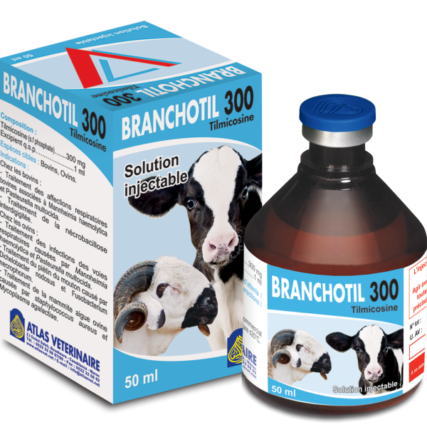 BRONCHOTIL 300 