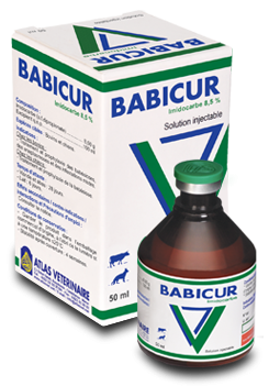 BABICUR