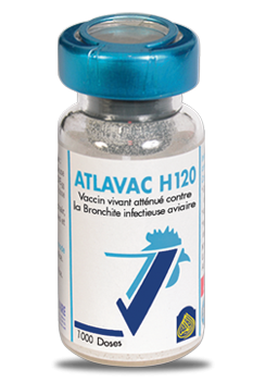 ATLAVAC H120