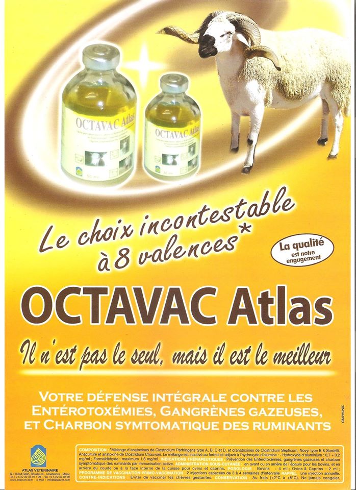 octavac altas