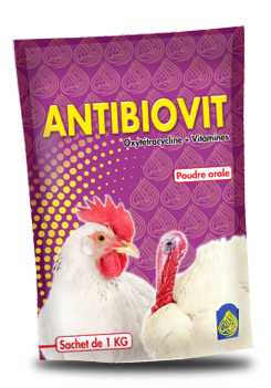 ANTIBIOVIT