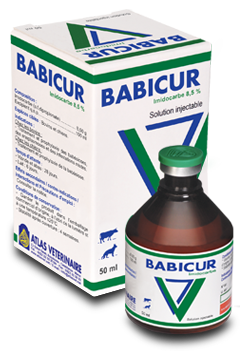 BABICUR 