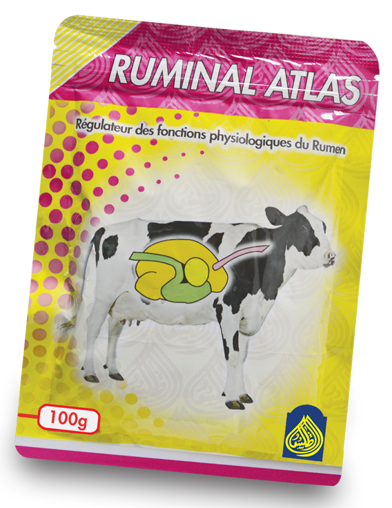 RUMINAL ATLAS