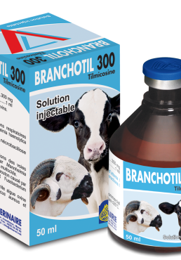 BRONCHOTIL 300