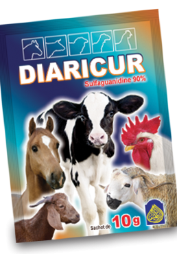 DIARICUR