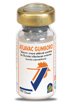 ATLAVAC Gumboro