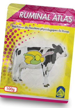 RUMINAL ATLAS
